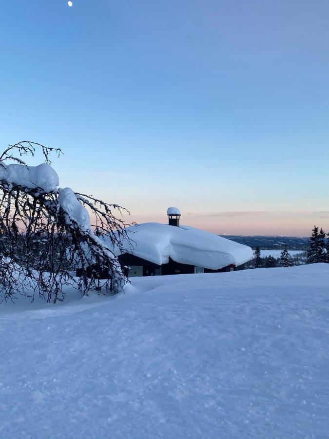 Cabin In The Mountain, Outstanding View & Solar Energy Vollen Εξωτερικό φωτογραφία