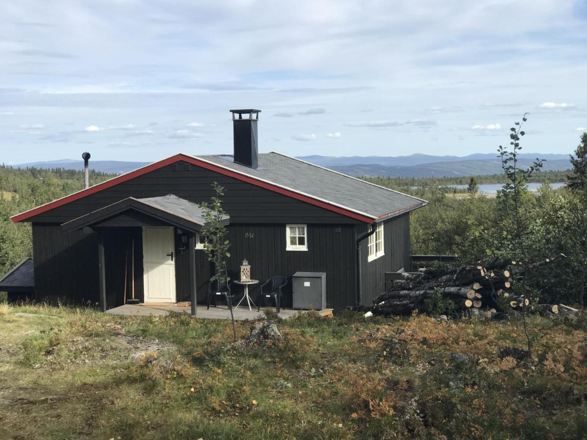 Cabin In The Mountain, Outstanding View & Solar Energy Vollen Εξωτερικό φωτογραφία