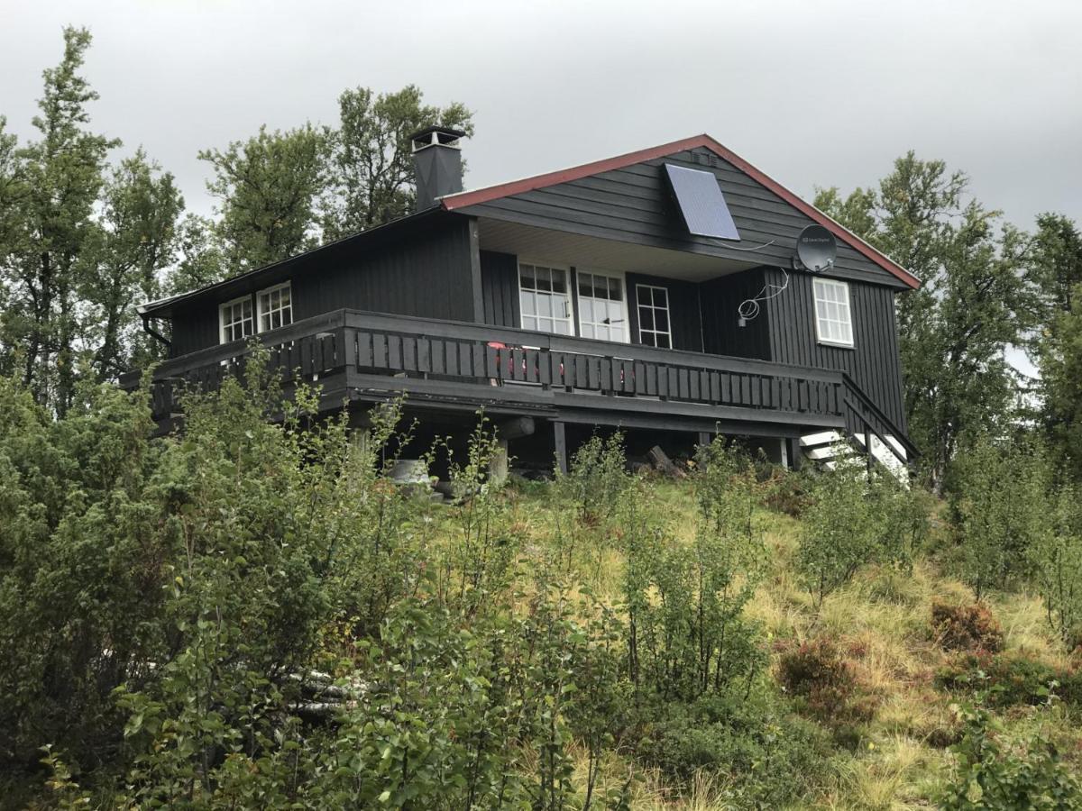 Cabin In The Mountain, Outstanding View & Solar Energy Vollen Εξωτερικό φωτογραφία