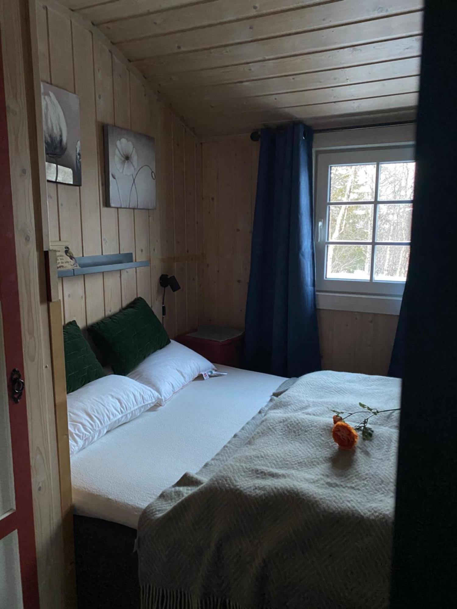 Cabin In The Mountain, Outstanding View & Solar Energy Vollen Εξωτερικό φωτογραφία